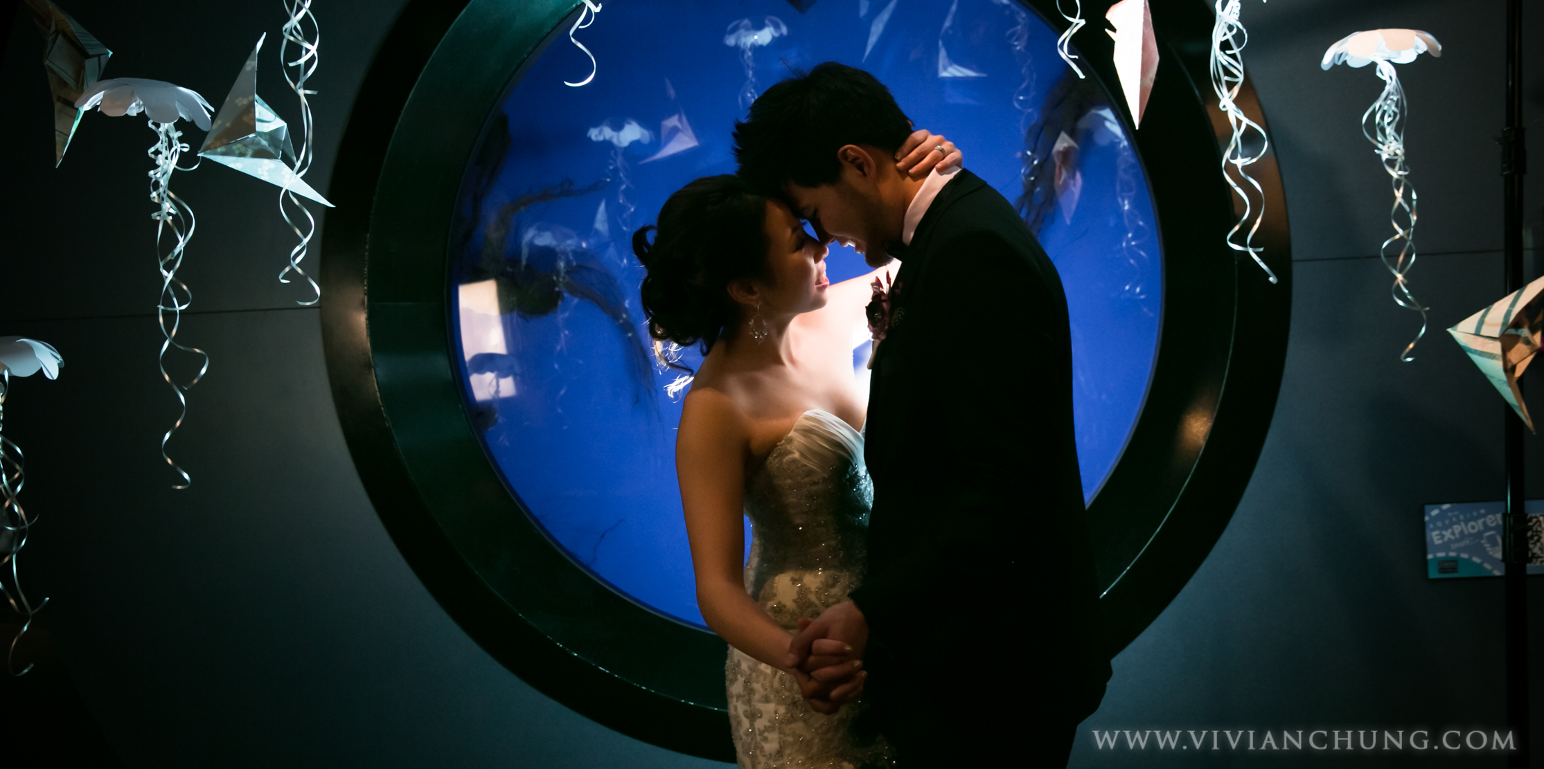 Shawn and michelle wedding, Vancouver Aquarium, Vancouver Aquarium Wedding